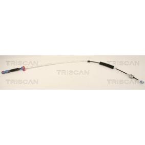 Seilzug, Automatikgetriebe 8140 38704 von TRISCAN günstig für 84,88 € online kaufen