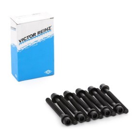 Compre Jogo de parafusos da cabeça do motor da REINZ 14-32047-01 a um preço baixo por 14,47 €