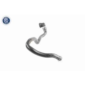 Ölwanne V70-0257 von VAICO günstig für 159,26 € online kaufen