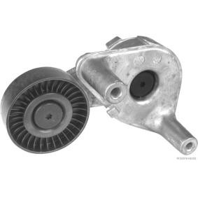 Riemenspanner, Keilrippenriemen J1140523 von HERTH+BUSS JAKOPARTS günstig für 81,22 € online kaufen