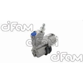 Compre Cilindro de freno de CIFAM online para TR 5 (250) a precios moderados