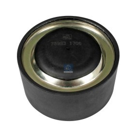 Compre Polia de desvio / de guia, correia trapezoidal estriada da DT Spare Parts 2.15574 a um preço baixo por 44,62 €
