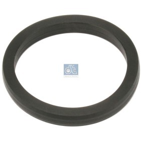 Dichtung, Wasserpumpe 2.15903 RENAULT TRUCKS von DT Spare Parts