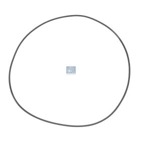 Dichtungssatz, Zylinderlaufbuchse des Herstellers DT Spare Parts - Originalware Artikelnummer: 3.10171