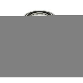 Kraftstofffilter des Herstellers DT Spare Parts - Originalware Artikelnummer: 5.45125