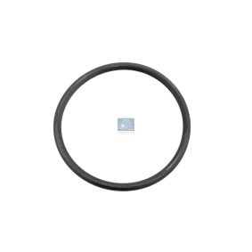 Dichtung, Wasserpumpe 6.30069 RENAULT TRUCKS von DT Spare Parts