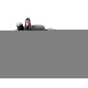 Kupplung, Kühlerlüfter für IVECO von DT Spare Parts