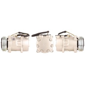 Klimakompressor 51-0036 von ELSTOCK günstig für 317,21 € online kaufen