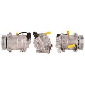 Klimakompressor 51-0317 von ELSTOCK günstig für 311,08 € online kaufen