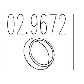 Dichtring, Abgasrohr von MTS 02.9672