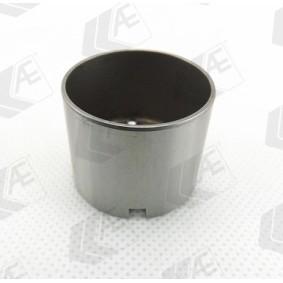 Hydrostößel für RENAULT von AE