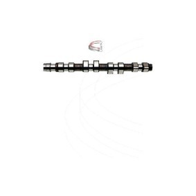 Nockenwelle CP16400 von CAMPRO günstig für 486,46 € online kaufen