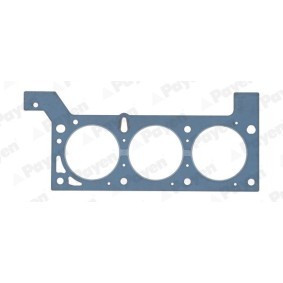 Acquista Guarnizione testata da PAYEN AC5580 a buon mercato per soli 38,94 €