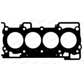 Compre Junta de culata de PAYEN online para Sentra VI (B16) a precios moderados