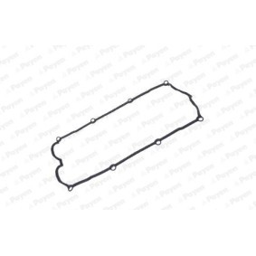 Compre Junta de tapa de valvulas de PAYEN online para Monterey Mk2 (M98) a preços moderados