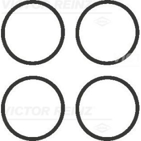 Compre Junta de colector de admisión de REINZ online para Spacefox / Space Cross (5Z6, 5Z7, 5Z9) a precios moderados