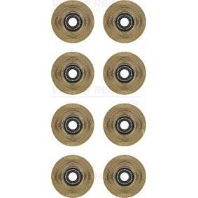Dichtungssatz, Ventilschaft 12-31056-01 von REINZ günstig für 16,63 € online kaufen
