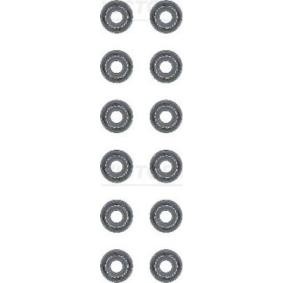 Comprar Juego de juntas, vástago de válvula de REINZ 12-53678-02 a bajo precio de 20,38 €