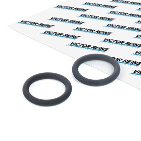 Comprar Junta, colector de admisión de REINZ 40-76246-00 a bajo precio de 2,60 €