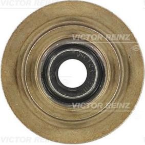 Ventilschaftdichtung 70-31056-00 von REINZ günstig für 1,94 € online kaufen