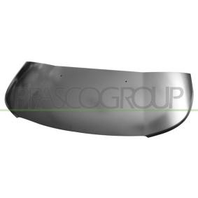 Motorhaube für CITROËN von PRASCO