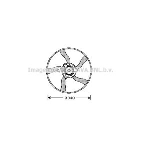 Kühlerlüfter CN7532 von PRASCO günstig für 117,95 € online kaufen