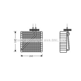 Acquista Evaporatore climatizzatore da PRASCO FDV271 a buon mercato per soli 138,51 €