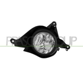 Kotflügel HN0193014OE von PRASCO günstig für 224,31 € online kaufen