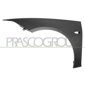 Blinker von PRASCO