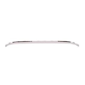 Acquista Modanatura paraurti da BLIC 5513-00-5537920P a buon mercato per soli 37,66 €