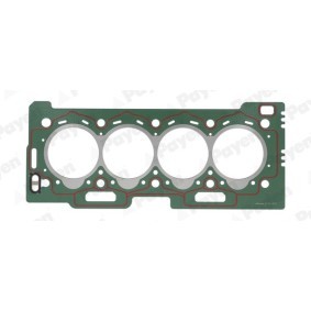 Compre Junta, cabeça do motor da PAYEN BY150 a um preço baixo por 39,49 €