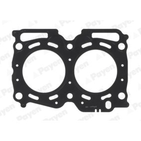 Compre Junta, cabeça do motor da PAYEN AG5580 a um preço baixo por 42,69 €