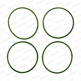 Comprar Juego de juntas, colector de admisión de PAYEN HA5032 a bajo precio de 19,46 €
