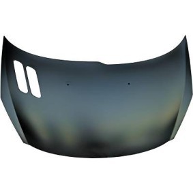 Motorhaube 4225400 von DIEDERICHS günstig für 158,02 € online kaufen