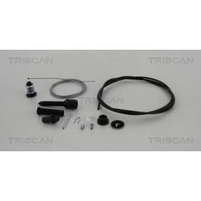 Gaszug für RENAULT von TRISCAN