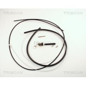 Gaszug für RENAULT von TRISCAN