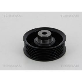 Umlenk- / Führungsrolle, Keilrippenriemen 8641 132007 von TRISCAN günstig für 85,30 € online kaufen