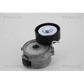 Spannrolle, Keilrippenriemen 8641 281029 von TRISCAN günstig für 78,88 € online kaufen