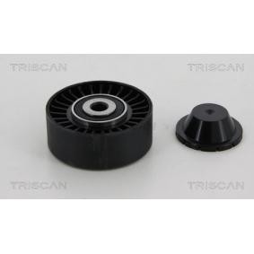 Umlenk- / Führungsrolle, Keilrippenriemen 8641 432008 von TRISCAN günstig für 74,10 € online kaufen