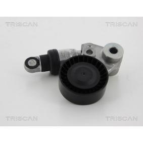 Compre Tensor da correia do alternador de TRISCAN online para ix55 a preços moderados