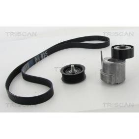 Acquista Kit Cinghie Poly-V da TRISCAN 8642 24005 a buon mercato per soli 162,69 €