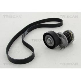 Keilrippenriemensatz 8642 29011 von TRISCAN günstig für 91,84 € online kaufen