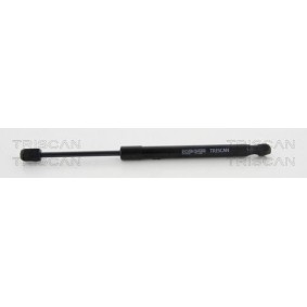 Motorhaubendämpfer 8710 18102 von TRISCAN günstig für 34,70 € online kaufen