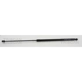 Motorhaubendämpfer 8710 29143 von TRISCAN günstig für 34,23 € online kaufen