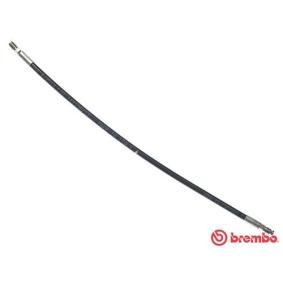 Acquista Flessibile frizione da BREMBO T 23 071 a buon mercato per soli 19,72 €