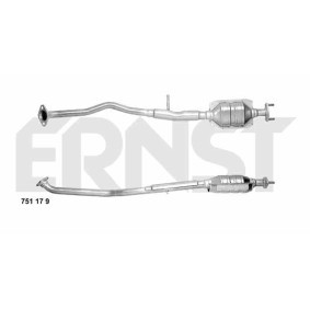 Acquista Catalizzatore da ERNST 751179 a buon mercato per soli 233,82 €