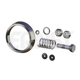 Montagesatz, Abgasrohr 493895 RENAULT TRUCKS von ERNST