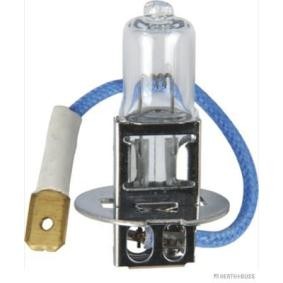 Fernlicht-Birne des Herstellers HERTH+BUSS ELPARTS - Originalware Artikelnummer: 89901095