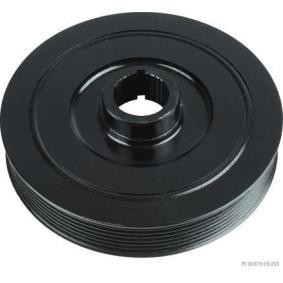 Comprar Polea de cigüeñal de HERTH+BUSS JAKOPARTS J1094007 a bajo precio de 56,05 €