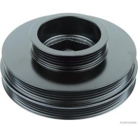 Comprar Polea de cigüeñal de HERTH+BUSS JAKOPARTS J1094002 a bajo precio de 74,10 €